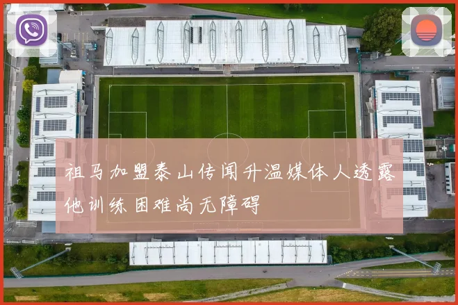 祖马加盟泰山传闻升温媒体人透露他训练困难尚无障碍