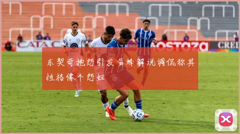 东契奇抱怨引发黄蜂解说调侃称其性格像个怨妇