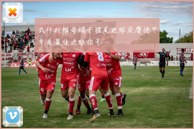 武什科维奇蝎子摆尾进球荣膺德甲年度最佳进球称号
